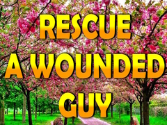 Lalao Rescue A Wounded Guy
