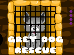 Lalao Grey Dog Rescue