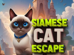 Lalao Siamese Cat Escape