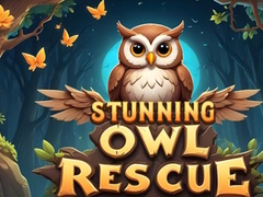 Lalao Stunning Owl Rescue