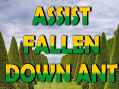 Lalao  Assist Fallen Down Ant