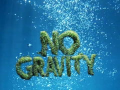 Lalao No Gravity