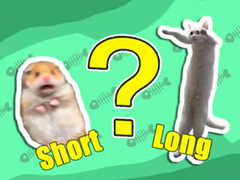 Lalao Kids Quiz: Shortest And Longest