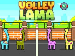 Lalao Volley Lama