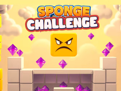 Lalao Sponge Challenge