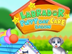 Lalao Labrador Puppy Daycare Salon