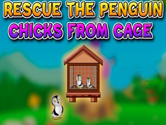Lalao Rescue the Penguin Chicks from Cage