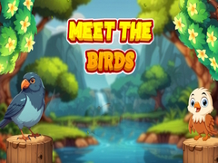 Lalao Meet The Birds 
