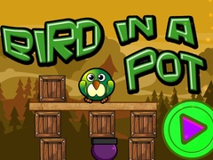 Lalao Bird In A Pot