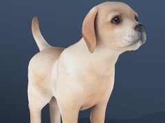 Lalao IDLE Pet