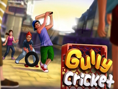 Lalao Gully Cricket