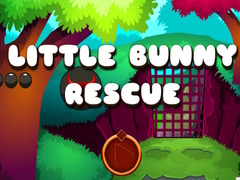 Lalao Little Bunny Rescue