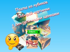 Lalao Jigsaw Cube Puzzles Collect Pictures with Cute Puppies