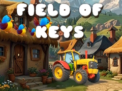 Lalao Field of Keys