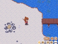 Lalao The Cozy Fishing