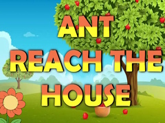 Lalao Ant Reach the House