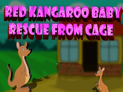 Lalao Red Kangaroo Baby Rescue from Cage