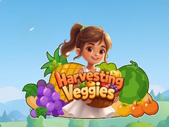 Lalao Harvesting Veggies
