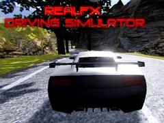 Lalao RealFX Driving Simulator