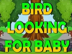 Lalao Bird Looking For Baby