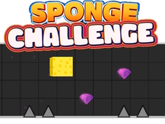 Lalao Sponge Challenge