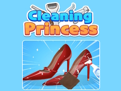 Lalao Cleaning Princess