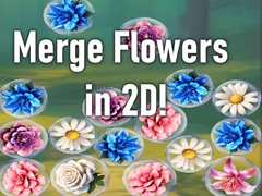 Lalao Merge Flowers in 2D!