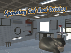 Lalao Spinning Cat Real Driving