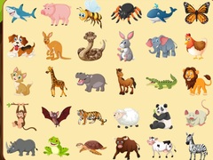 Lalao Discover Animals