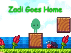 Lalao Zadi Goes Home