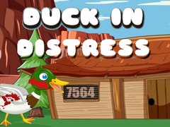 Lalao Duck in Distress