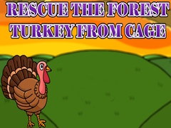Lalao Rescue the Forest Turkey from Cage