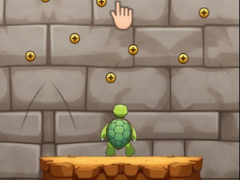 Lalao Turtle Coaster