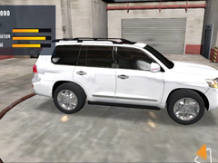 Lalao Prado Car Driving