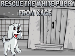 Lalao Rescue the White Puppy from Cage