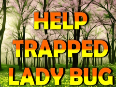 Lalao Help Trapped Lady Bug
