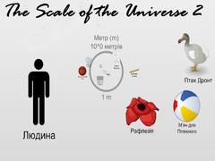 Lalao The Scale of the Universe 2