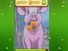 Lalao Farm Animals Memory Cards