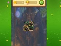 Lalao Magic Druid Memory Match