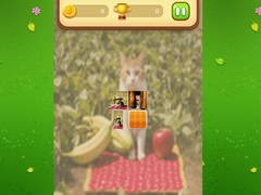 Lalao Farm Cat Memory Match