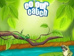 Lalao Colour Catch