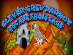 Lalao Clever Grey Parrot Escape from Cage
