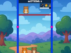 Lalao Evolution Of Hamsters