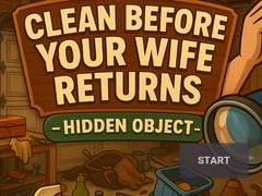 Lalao Clean Before Your Wife Returns Hidden Object