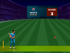 Lalao Cricket Night 2