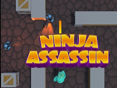 Lalao Ninja Assassin