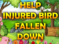 Lalao Help Injured Bird Fallen Down