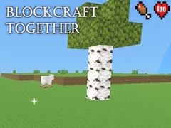 Lalao BlockCraft Together