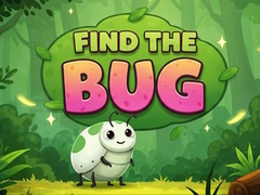 Lalao Find the Bug
