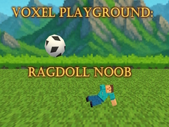 Lalao Voxel Playground: Ragdoll Noob